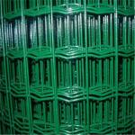 ISO9001 Certified Galvanized PVC Coated Garden Wire Fencing 50mm X50mm