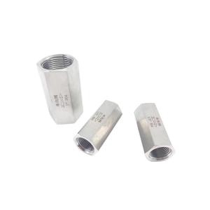 Quality Stainless Steel 304 Non Return Check Valve Thread Ends for Long-lasting Durability wholesale