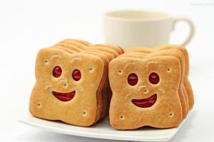 Quality Soda Crackers For All Ages HACCP Certification In 150g wholesale
