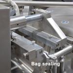 Rotary Premade Chips Snack Packing Machine With Zipper Bag
