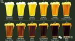 Small-Scale Production of Beer/Black Beer on a Small Scale/Bar Beer Brewing
