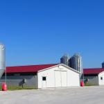 Economical Light Steel House Construction Customized Steel Structure Shed