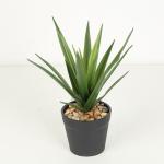 Texture Fidelity Greenery Agave Faux Bonsai Tree 22 CM 25 CM 29 CM