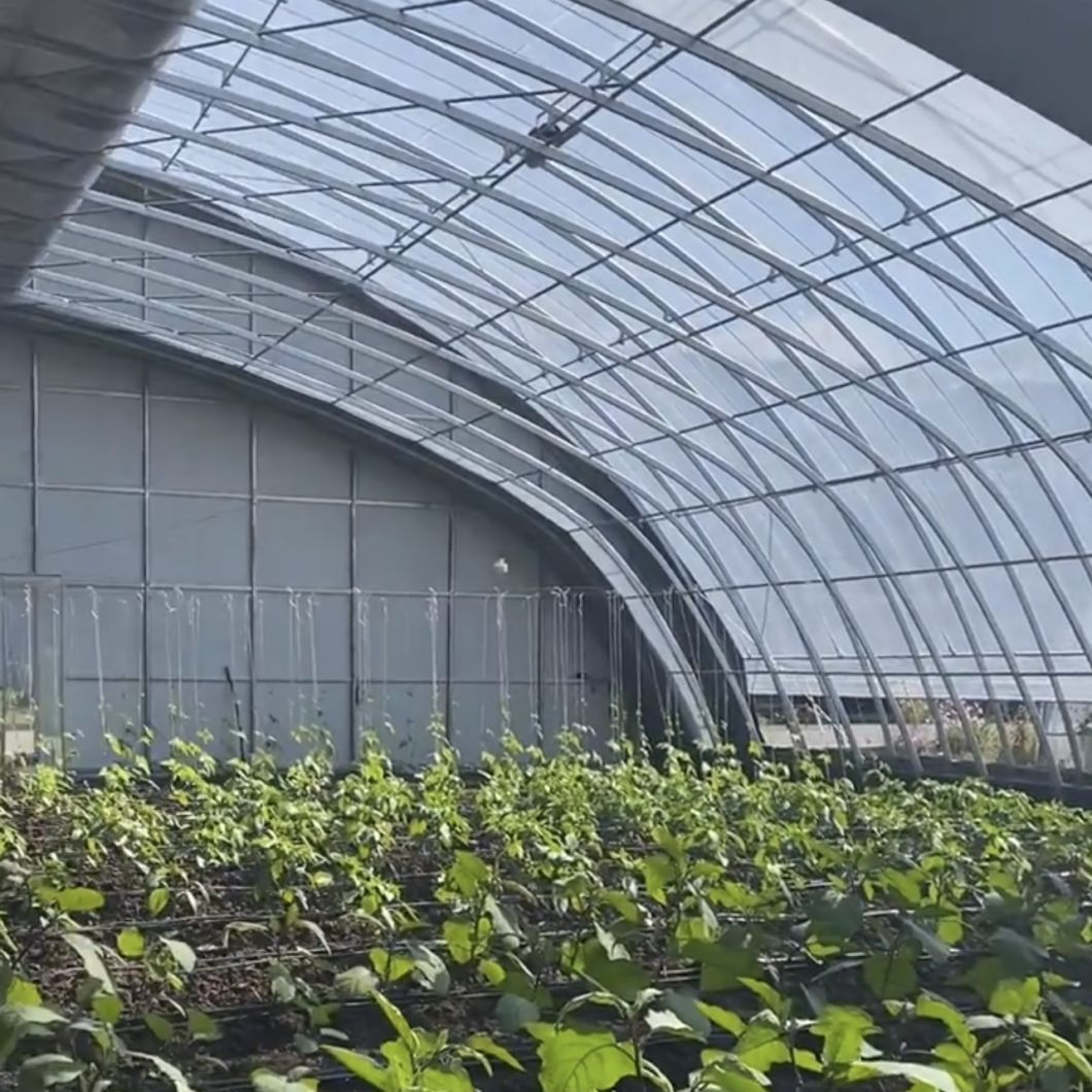 Aquaponics Hydroponics Growing System Vegetable Production Greenhouse