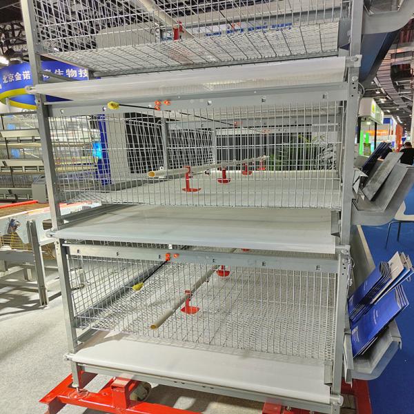 Modern Poultry Battery Cage , SGS 3/4 Floors 150 Broiler Chicken Farming