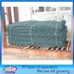 600*600*20/25 Heavy Stainless Steel Hexagonal Gabion Wire Mesh with Years of