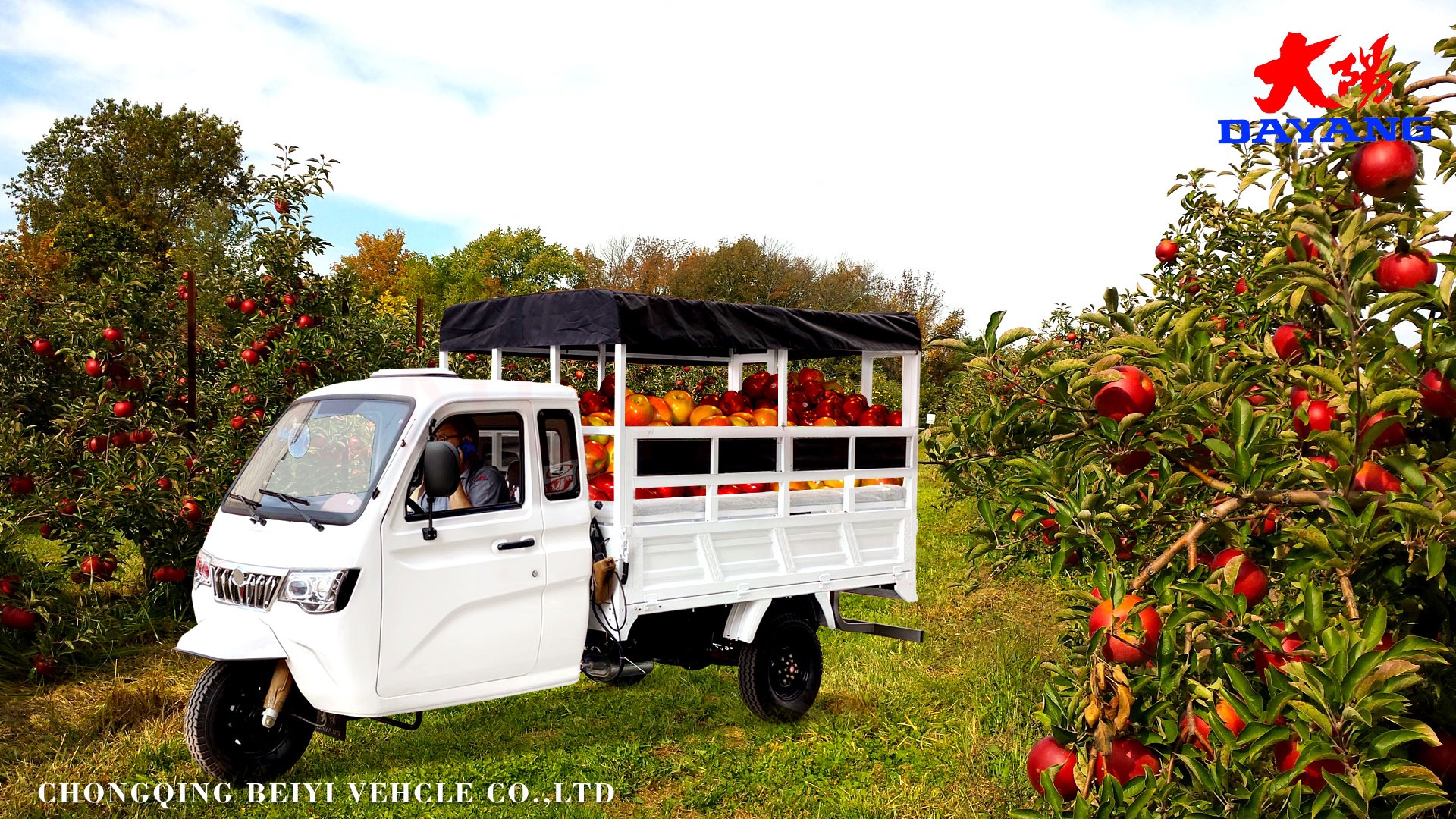 800W Semi-Cabin Motorized Cargo Tricycle with Enclosed Cabin and Plastic Cargo Cover