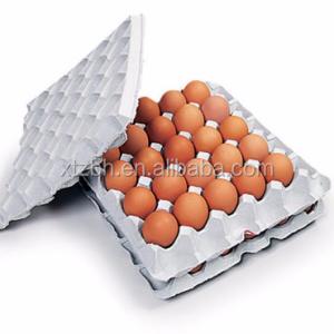 Quality Pulp Molding Egg Box Forming Machine 100KW Waste Paper Recycling wholesale