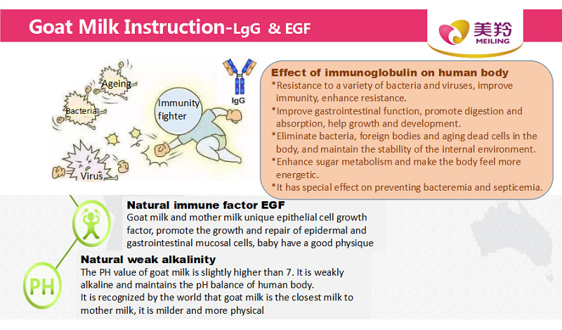 A2 Protein Formula Infant Baby Goat Milk Powder