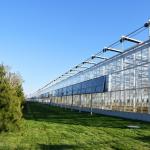 Sunlight Greenhouse Multispan Hydroponics Plastic Film Greenhouse for Commercial