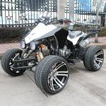 8" Rim 250cc Electric Start Youth Racing ATV Water Cooled Atv With Front Double