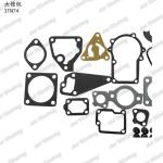 Full Gasket Kit Iron 3TN74