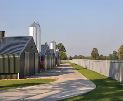 Anti Corrosive Steel Structure Poultry House Galvanized Farm Bird Shed Construction