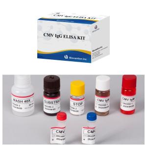 Quality Biovantion CMV 18 Month Shelf Life IVD ELISA Serum Plasma Test Kit wholesale