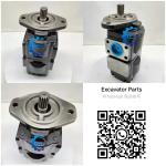 Hydraulic Pump 20925580 7029120048 332/9030 20/925580 Hydraulic Gear Pump for