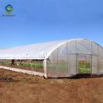 200 Micron Film Tomato Plastic Tunnel Greenhouse Single Span