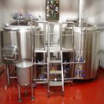 10BBL / 15BBL Beer Fermentation Equipment , 2MM Outer Tank Craft Beer Equipment