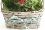 new design home dicorative wicker flower basket willow garden basket plant