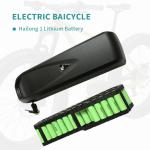 10Ah E Bike Lithium Battery Pack Oem 1000 Cycles Ebike Battery Cells