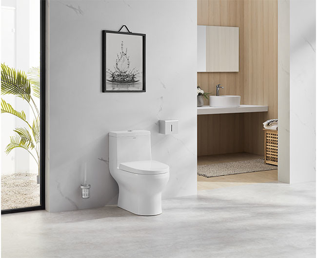 One Piece Ceramic Toilet Set 685×370×725mm Siphonic Flushing