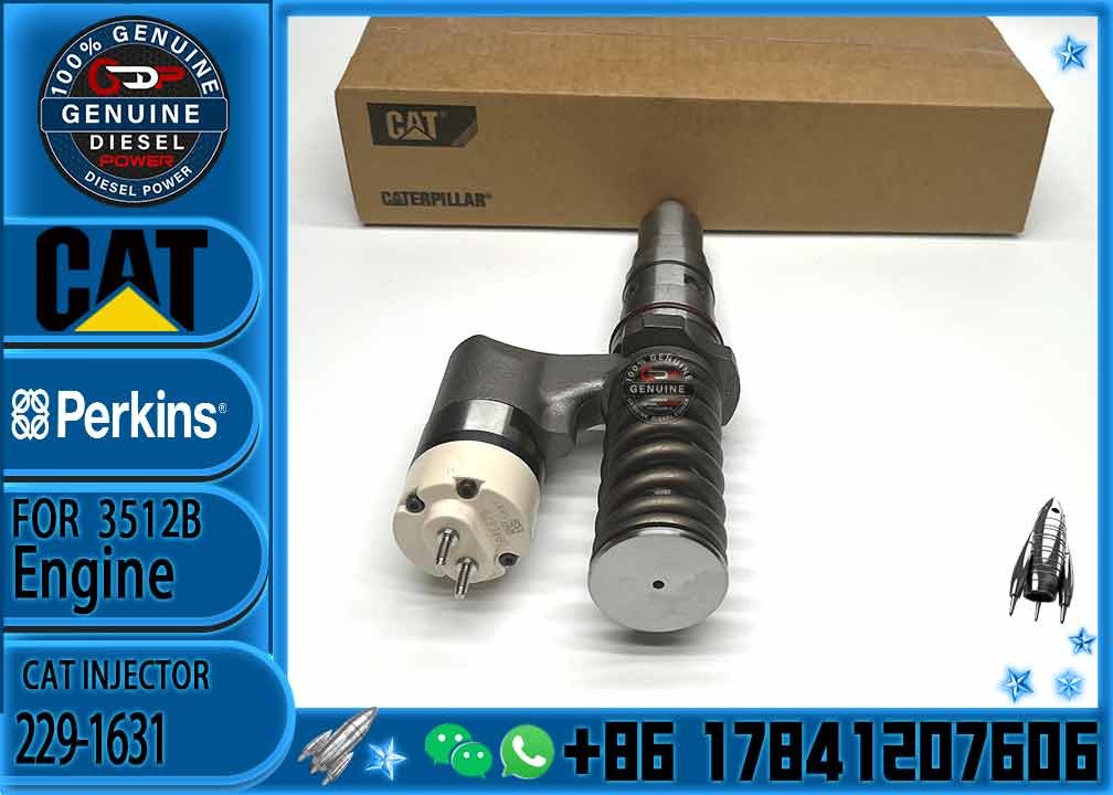 common rail injector 229-1631 245-8272 246-1854 250-1311 250-1302 250-1304 250-1303 250-1306 250-1308
