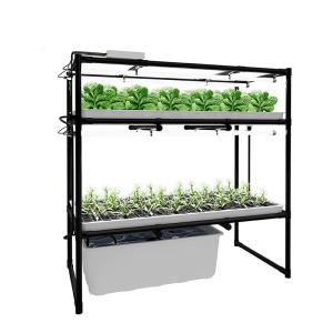 Quality 600*1200mm Vertical Hydroponic Growing Systems For Salad Greens wholesale
