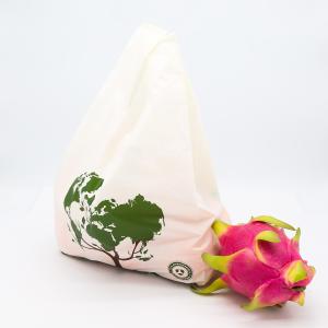 Quality AISUN Customize Printed Direct Factory Sale 100% Biodegradable PLA PBAT Compostable Shopping Bags for supermarket wholesale