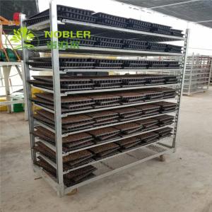 Quality Greenhouse Flower Trolley Display wholesale