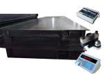 Carbon Steel Heavy Duty Weighbridge Truck Scale 100 Ton