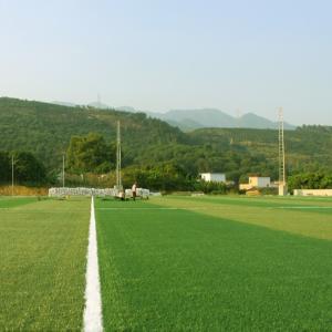 Quality 55mm 60mm 50mm Artificial Grass Soccer Field Sports Turt Flooring Popular Style wholesale