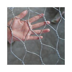 Quality Galvanized Gabion Wire Mesh in Philippines/Thailand TT/Western Union Payment Term wholesale