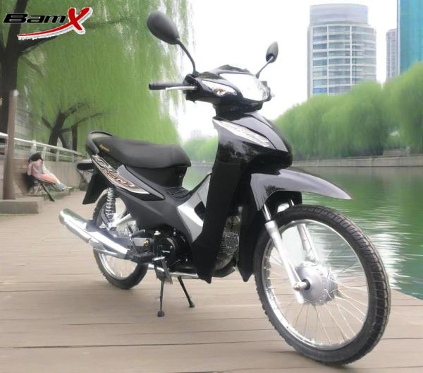 Kick Start Compact Motorbike 4 Speed Transmission 110cc Engine 4.4L Fuel Tank
