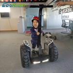 Lithium Battery Segway Electric Scooter , 2 Wheel Self Balancing Electric