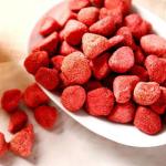 Food Vacuum Freeze Drying Machine For Vegetable and Fruit Drying