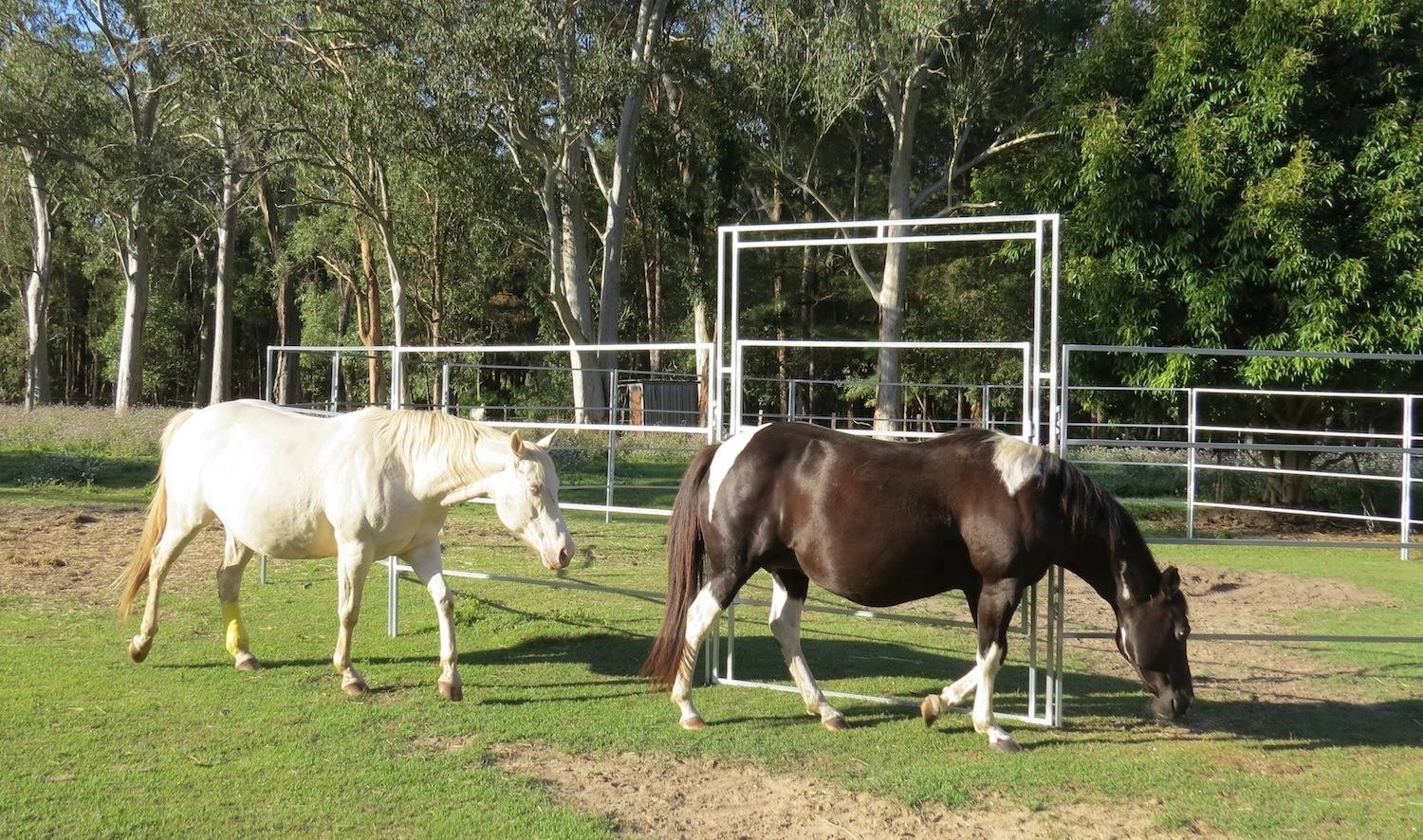 13 Panel Horse Arenas Inc Gate, round Yard, Cattle Fences, Corral 9m diameter