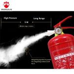 Dry Powder Carbon Dioxide Portable Fire Extinguisher