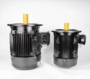 Quality Frequency Conversion 100kw Permanent Magnet Motor PM OEM ODM wholesale