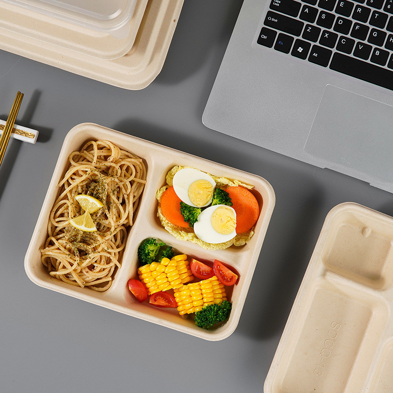 4 Compartments Biodegradable Sugarcane Bagasse Plates Compostable For Lunch