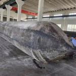 Durable Inflatable Ship Launching Marine Airbags Rubber