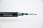 Gyty54 Anti Rodent Fiber Optic Cable 2-72core Outdoor Use