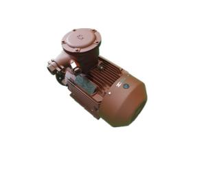 Quality 315L1-2-160kW Explosion Proof Electric Motor YBX3 2 Pole 3 Phase Motor wholesale
