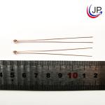 R200 1Kohm 4537K Glass Coating NTC Temperature Probe