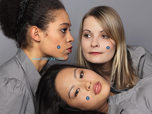 Sineimage/3nh YE111B Critical Flesh Tones Test Chart