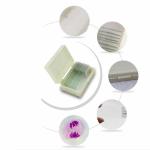 Boutique Meiosis Medical Research 12PCS Pre Prepared Microscope Slides