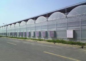 Quality Cooling Plastic Film Vegetable 10m Multi Span Greenhouse wholesale