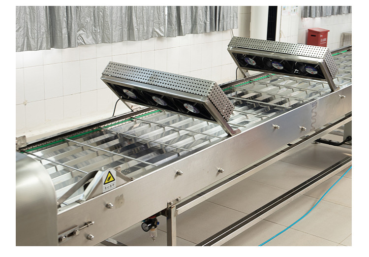 Factory Made Automatic Conveyor Belt Machine Marshalling Cooling Converyor Adjustable Speed