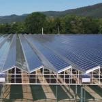 30 Days Return Refunds Double Layer PE/Po Plastic Film Photovoltaic Solar