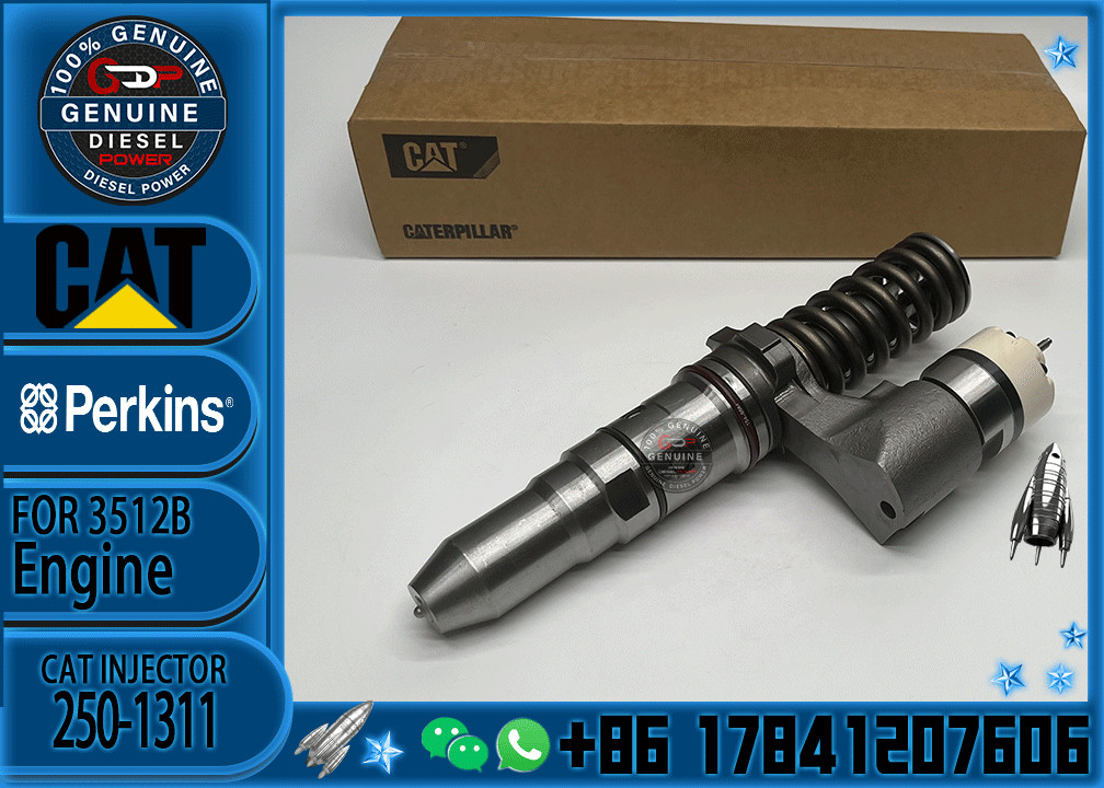 Diesel 1628809 3512B Engine Injector 162-8809 230-9457 250-1311 For Cater-pillar Common Rail