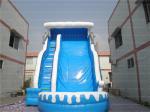Shark Inflatable Water Slide (CYSL-37)