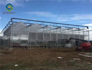 Quality Hot Dipped Galvanized Steel 7.5m Polycarbonate Greenhouse wholesale